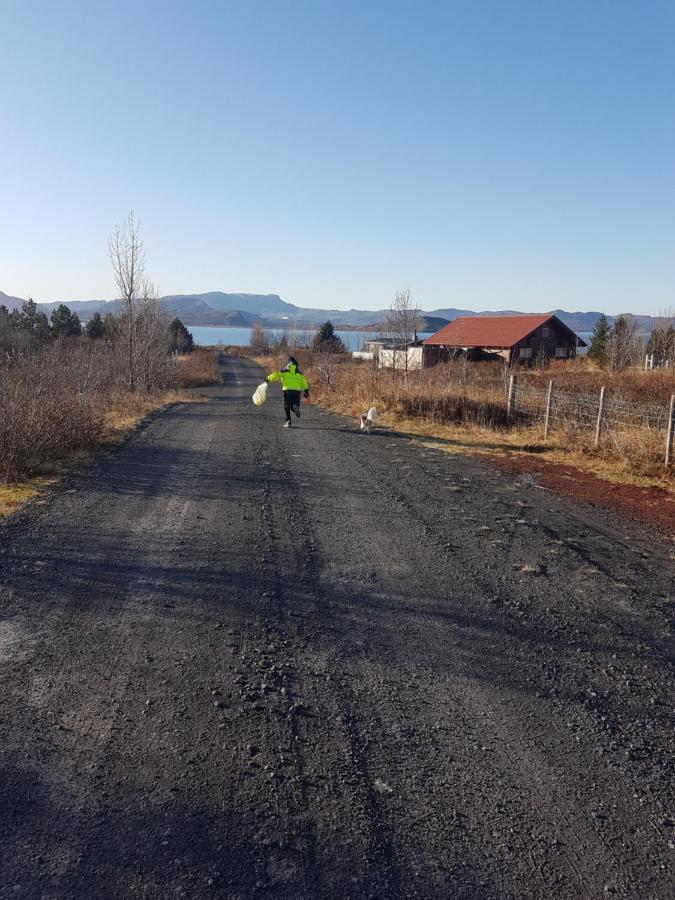 Thingvellir Lake Cottage Veithilundur Exteriör bild