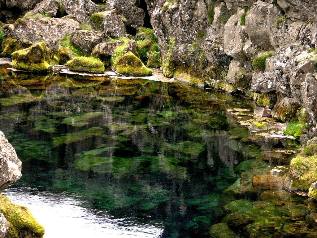 Thingvellir Lake Cottage Veithilundur Rum bild